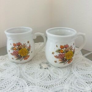 Retro Vintage Wangs Kitchen Mugs Set of Two cottagecore farmhouse kitchen